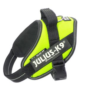 Julius k-9 idc® power neon, size mini mini