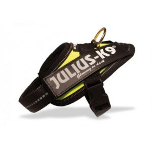 Julius k-9 idc® power neon, size mini