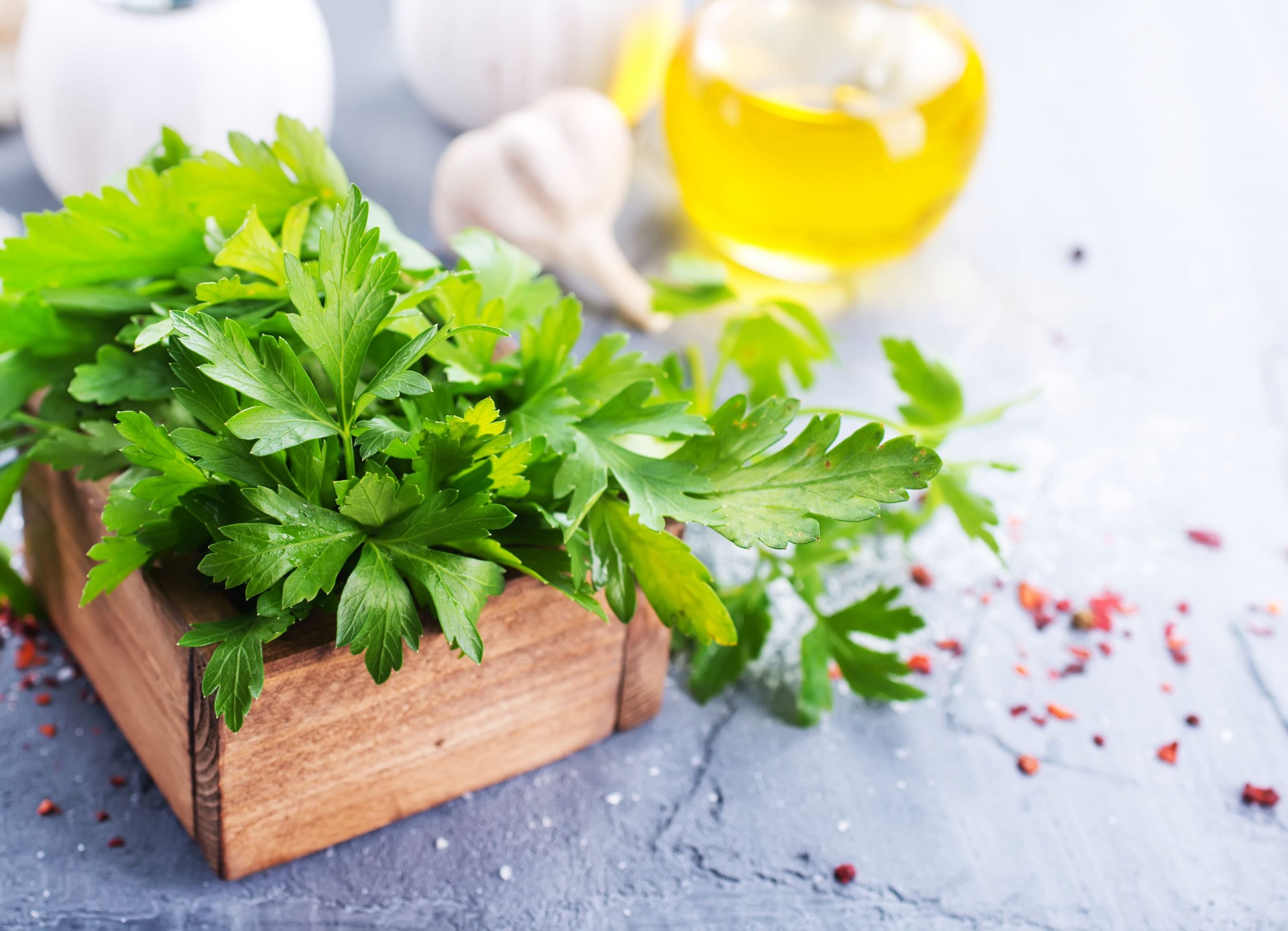 AdobeStock_167569479 (1) (1)