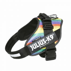 Julius k-9 idc® power similpelle arcobaleno, size 2