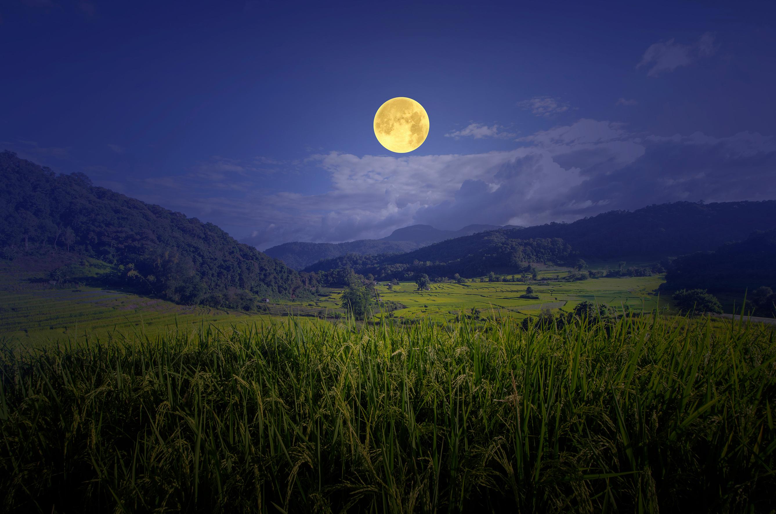 La luna influenza davvero l’agricoltura?