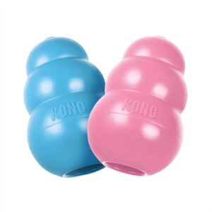 Kong puppy small