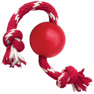 Kong ball with rope