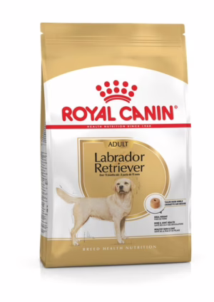 Royal canin labrador retriver adult 12kg