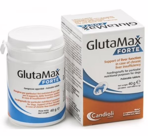 Glutamax forte - 20cpr