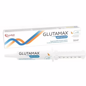 Glutamax advanced pasta 30ml