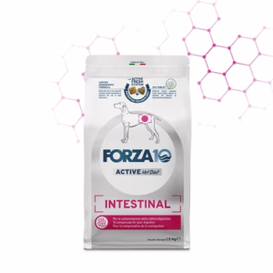 Forza10 intestinal active 4kg