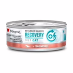 Disugual diet cat recovery salmone 85g