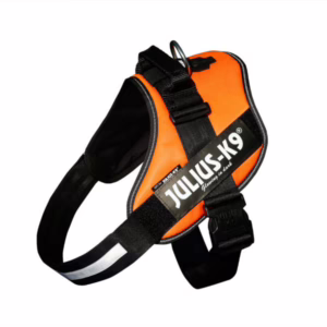 Julius k-9 idc® power arancione, size 0