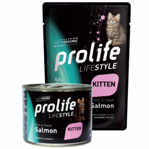 Prolife cat kitten salmone 85g