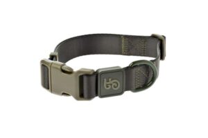 Ferribiella Collare Suprema Verde