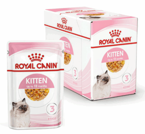 Royal Canin Alimento Umido Kitten in Gelatina