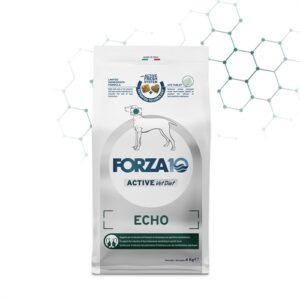 FORZA10 Echo Active