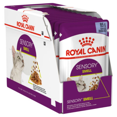 Royal Canin Alimento Umido Sensory Smell in Gelatina