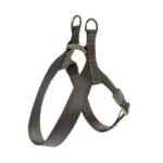 Ferribiella Pettorina ad Y Suprema Verde - XXS, Verde