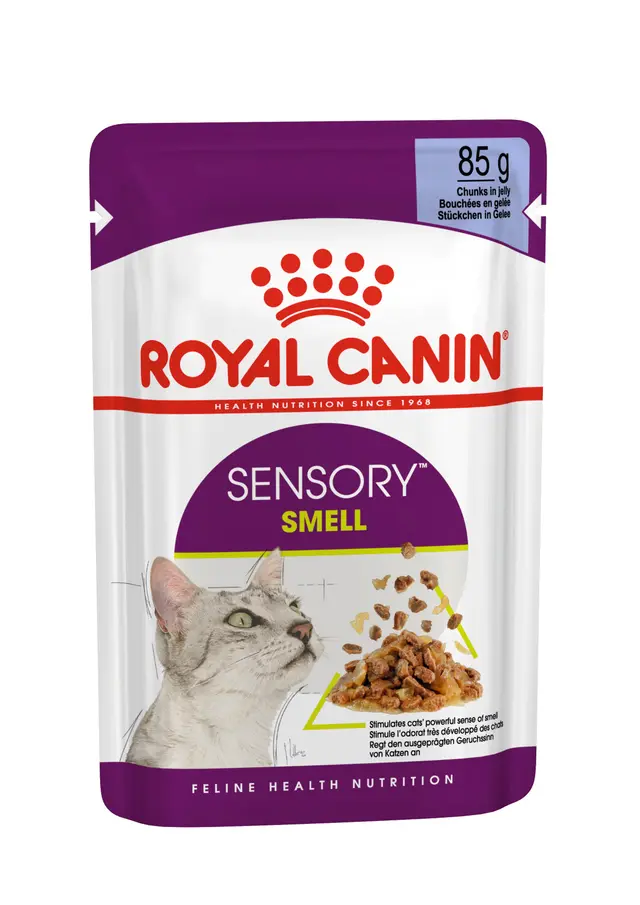 Royal Canin Sensory Smell in Gelatina – Alimento Umido Completo per Gatti Adulti che Stimola l'Olfatto