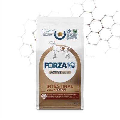 FORZA10 INTESTINAL COLON FASE 2 10KG