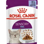 Royal Canin Sensory Feel in Gelatina 12x85g – Alimento Umido Completo per Gatti Adulti che Stimola il Senso del Tatto - 85g