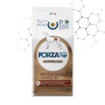 FORZA10 Intestinal Colon Fase II - Pesce - 10kg