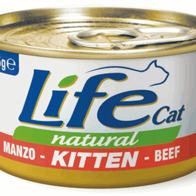 LifeCat Kitten Manzo 85g