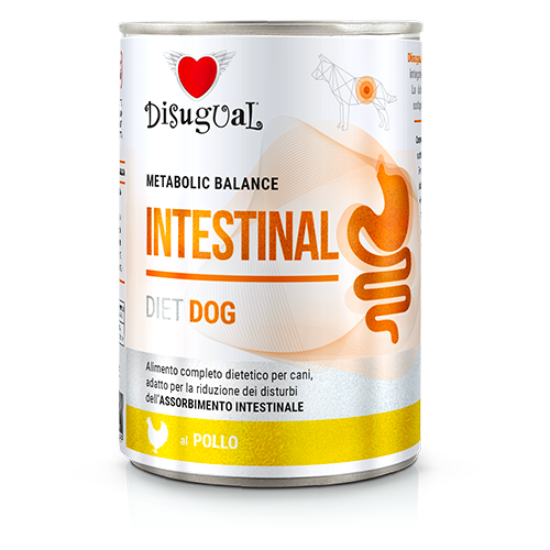 Disugual Metabolic Balance Intestinal 400g
