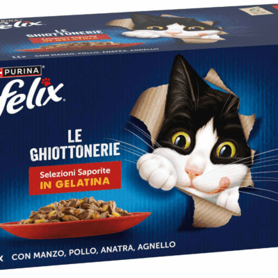 Purina Felix Multipack Le Ghiottonerie Selezioni Saporite 45x85g