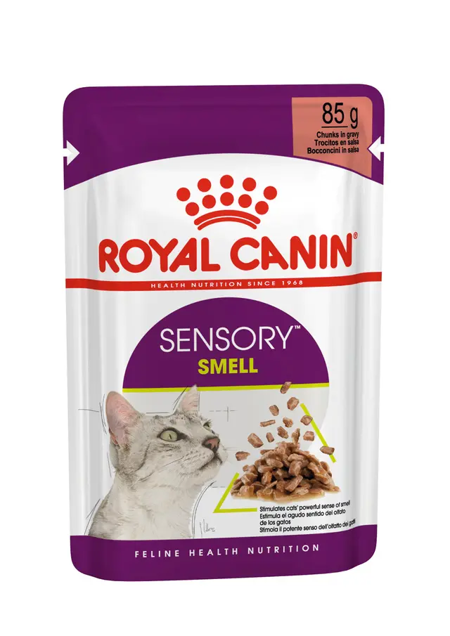 Royal Canin Sensory Smell in Salsa – Alimento Umido Completo per Gatti Adulti che Stimola l'Olfatto