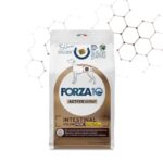 FORZA10 Intestinal Colon Fase I - Agnello e Sorgo Bianco - 1,5kg