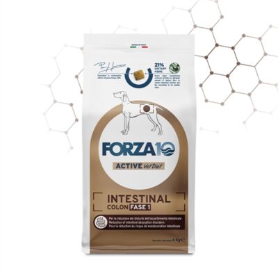 FORZA10 INTESTINAL COLON FASE 1 4KG
