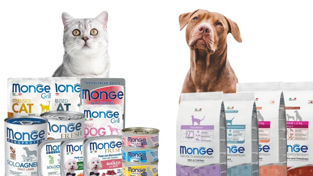 Un cane ed un gatto con la rappresentazione di cibo e crocchette