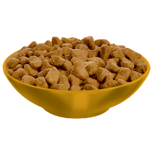 Crocchette gatto