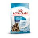 Royal Canin Maxi Starter Mother & Babydog - 15kg