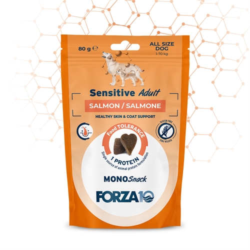 FORZA10 SENSITIVE ADULT SALMONE 80G