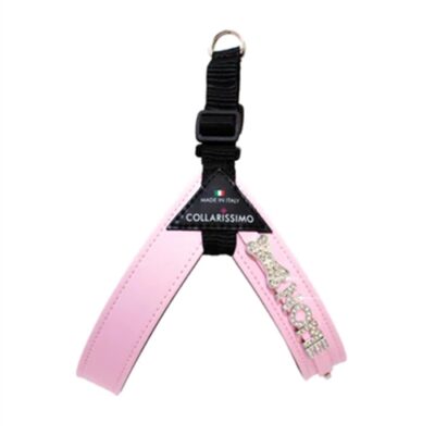 COLLARISSIMO PETTORINA per Cane