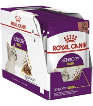 Royal Canin Alimento Umido Sensory Smell in Salsa