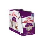 Royal Canin Alimento Umido Sensory Taste in Gelatina - 12x85g
