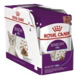 Royal Canin Alimento Umido Sensory Feel in Salsa - 12x85g