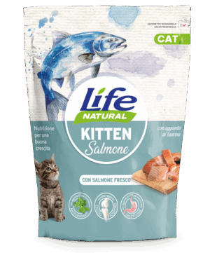 Life Cat Kitten Salmone 800g