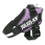 Pettorina Julius K9® Powerharness, Size 1 - Viola