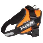 Pettorina Julius K9® Powerharness, Size 1 - Arancione fluo