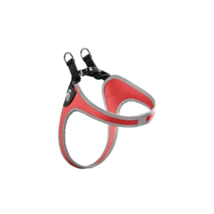 Tre Ponti Pettorina Rifrangente Azzurra, Size 2,5