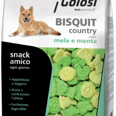 Golosi Bisquit Country Mela e Menta 600g